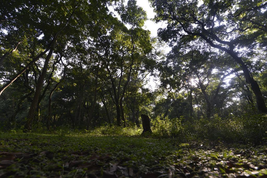 Gokarna Forest Resort Katmandú Exterior foto
